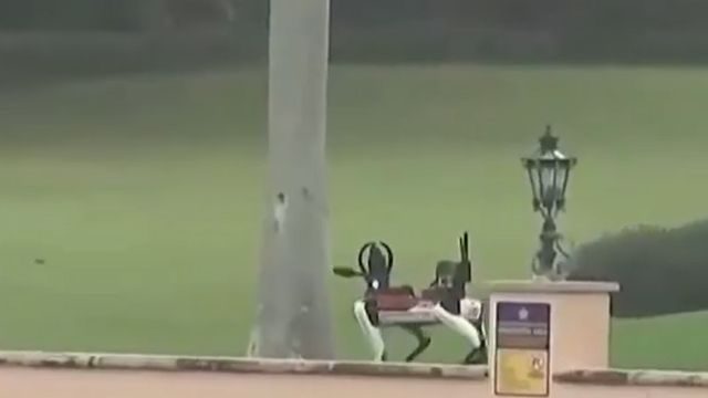 Armed robot dogs