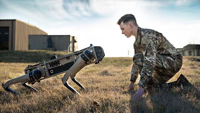 Armed robot dogs