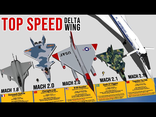 Delta Wing