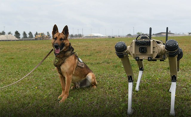 Armed robot dogs