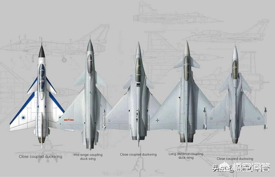 All Delta wing fighter with canards